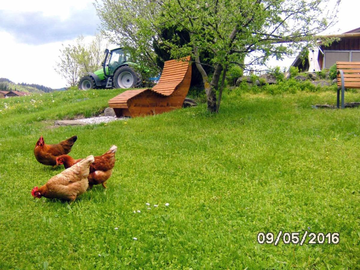 Ferienbauernhof Koepf Lägenhet Füssen Exteriör bild